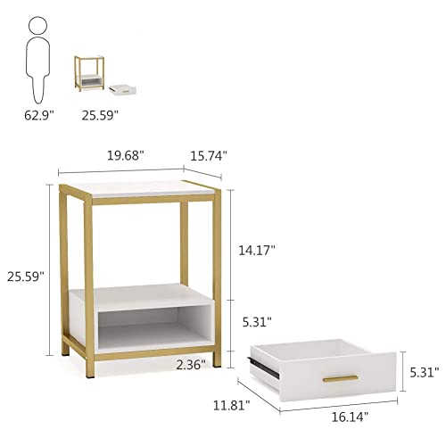 Tribesigns 25 inch Tall Gold Nightstands with Drawers and Storage Shelf, Modern Bedside Table End Table Side Table for Bedroom, Living Room (1 pc, Gold and White)