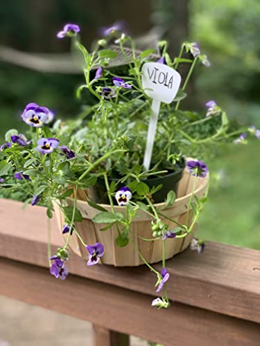 Bert's Garden Shallow Basket, Produce Baskets, Natural Wooden Baskets with 6 inch Saucer to Use as Planter, Make Gift Baskets 2 Pack(7" Shallow Basket)