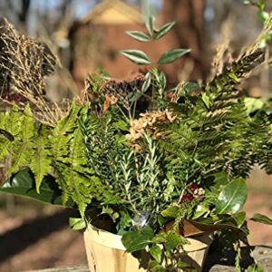 Bert's Garden Shallow Basket, Produce Baskets, Natural Wooden Baskets with 6 inch Saucer to Use as Planter, Make Gift Baskets 2 Pack(7" Shallow Basket)