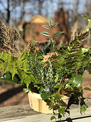 Bert's Garden Shallow Basket, Produce Baskets, Natural Wooden Baskets with 6 inch Saucer to Use as Planter, Make Gift Baskets 2 Pack(7" Shallow Basket)