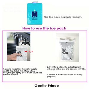 Gentle Prince Insulated Easy Zip Lock Resealable Aluminum Sandwich Bag with ice pack - Reusable Thermal Snack Bento Camping Picnic Hot & Cold Pouch (Sliver, 5)