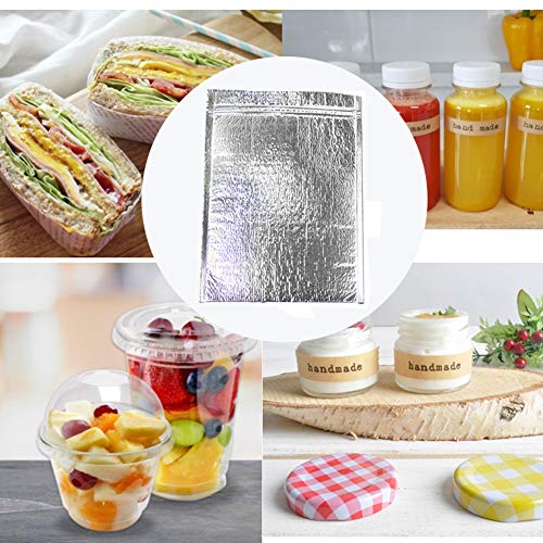 Gentle Prince Insulated Easy Zip Lock Resealable Aluminum Sandwich Bag with ice pack - Reusable Thermal Snack Bento Camping Picnic Hot & Cold Pouch (Sliver, 5)