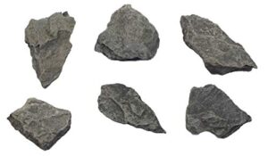 6pk raw carbonaceous shale, sedimentary rock specimens - approx. 1" - geologist selected & hand processed - great for science classrooms - class pack - eisco labs