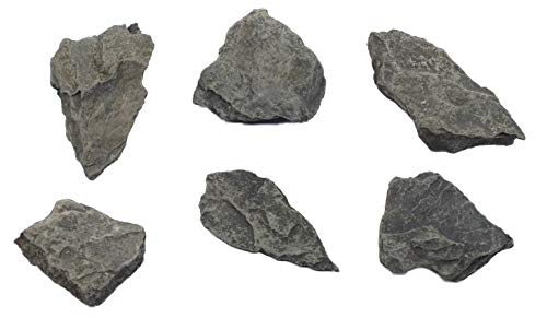 6PK Raw Carbonaceous Shale, Sedimentary Rock Specimens - Approx. 1" - Geologist Selected & Hand Processed - Great for Science Classrooms - Class Pack - Eisco Labs