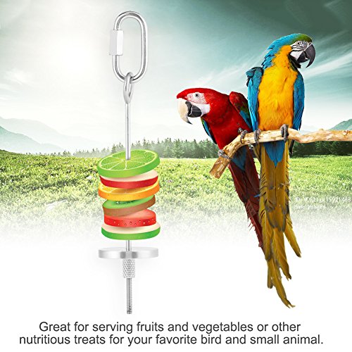 TOPINCN Bird Parrot Treat Fruit Vegetable Holder Stainless Steel Parrot Food Skewer Food Meat Fruit Stick Spear Holder Small Animal Bird Toy Bird Treating Tool(#1)