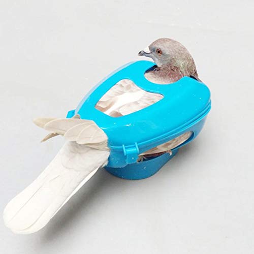 TOPINCN Pigeon Injection Holder Plastic Pigeon Fixers Pigeon Injection Holder for Feeding Pigeons Fixed Mount Bird Supply (Blue)