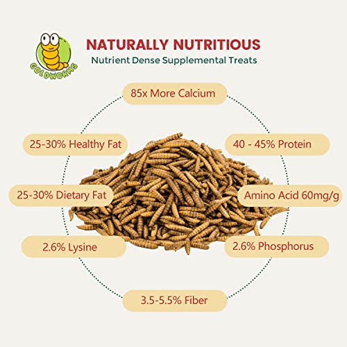 GOLDWORMS 2LBS Superior to Dried Mealworms for Chickens - Non-GMO Dried Black Soldier Fly Larvae - 85X More Calcium Than Meal Worms - BSF Larvae Treats for Wild Birds, Hens, Ducks, Reptiles