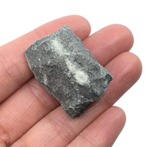 12PK Raw Chlorite, Metamorphic Mineral Specimens - Approx. 1" - Geologist Selected & Hand Processed - Great for Science Classrooms - Class Pack - Eisco Labs