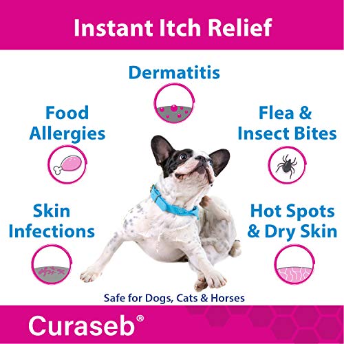 Curaseb Hot Spot Treatment for Dogs & Cats – Instant Itch Relief for Hot Spots, Paw Licking, Rashes, Allergies, Bites, Dry Skin – with Soothing Aloe, 4oz