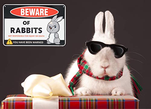 Venicor Beware of Rabbit Sign Decor - 8 x 12 Inches - Aluminum - Bunny Rabbit Decorations Accessories Gifts Supplies Stickers Stuff