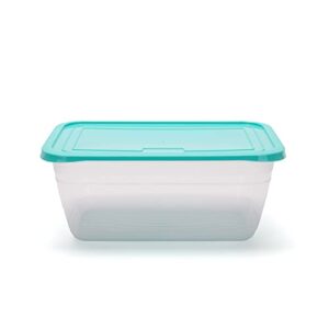 mintra home storage containers 4l (teal)