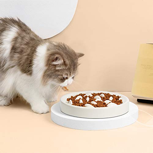 MSBC Pet Slow Feed Dish for Cats and Small Dogs - Fish Pool Design, Fun Interactive Bloat Stop Puzzle Feeder Bowl Healthy Eating Diet Food Grade Melamine Material Easy to Clean Dishwasher Safe (White)