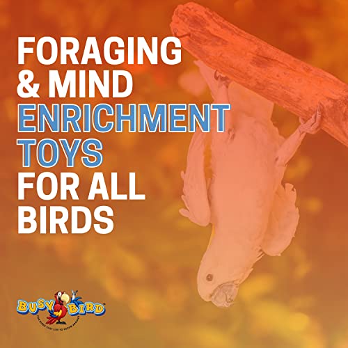 Busy Bird | Ele-Waiter Foraging Bird Toy - Helicopter Arm adjusts Elevator to Expose Treats - 100% Metal, Ultimate Brain Teaser and Mind Game for Medium to Extra Large Birds