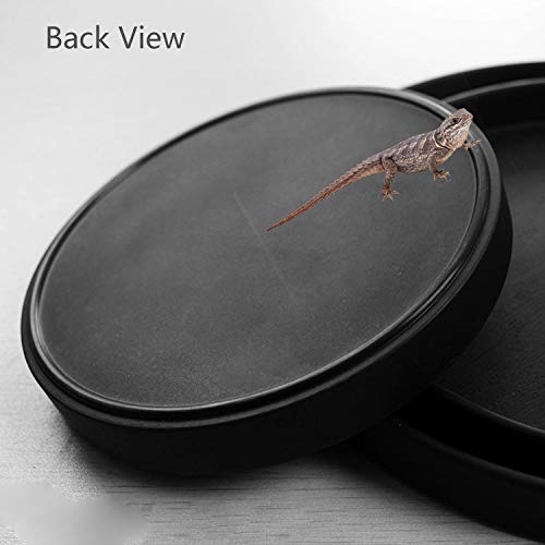 Fuongee Reptile Water Food Dish Bowl Turtle Feeder Tortoise Feeding Dish Container (M, Black)