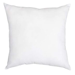 amazon basics white hypoallergenic decorative throw pillow insert - 24" x 24", 1-pack