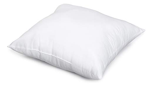 Amazon Basics White Hypoallergenic Decorative Throw Pillow Insert - 24" x 24", 1-Pack
