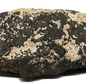 Large Naturally Magnetic Lodestone 1/2 to 3/4 Pound