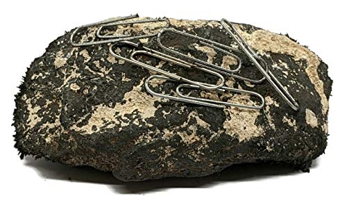 Large Naturally Magnetic Lodestone 1/2 to 3/4 Pound