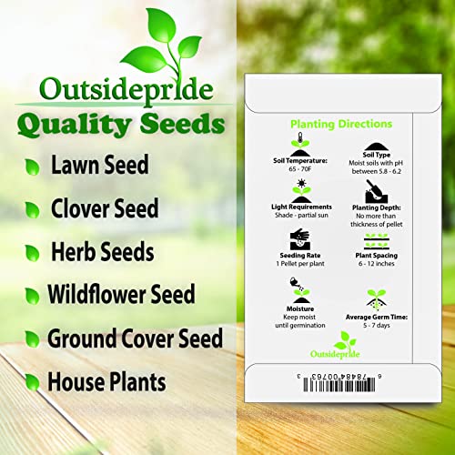 Outsidepride Corsican Ornamental Mini Mint Spreading, Mat Forming Ground Cover Plant Seeds - 25 Pellets