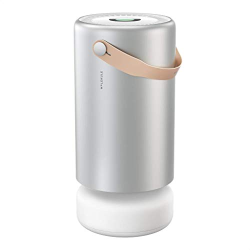 Molekule Air Pro Air Purifier for Large Rooms up to 1000sq. ft. with PECO Technology, Compatible with Alexa, Eliminates Smoke, Mold, Bacteria & Other Pollutants for Clean Air – Silver