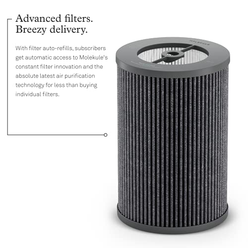 Molekule Air Pro Air Purifier for Large Rooms up to 1000sq. ft. with PECO Technology, Compatible with Alexa, Eliminates Smoke, Mold, Bacteria & Other Pollutants for Clean Air – Silver