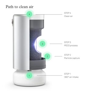 Molekule Air Pro Air Purifier for Large Rooms up to 1000sq. ft. with PECO Technology, Compatible with Alexa, Eliminates Smoke, Mold, Bacteria & Other Pollutants for Clean Air – Silver