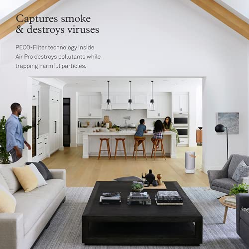 Molekule Air Pro Air Purifier for Large Rooms up to 1000sq. ft. with PECO Technology, Compatible with Alexa, Eliminates Smoke, Mold, Bacteria & Other Pollutants for Clean Air – Silver