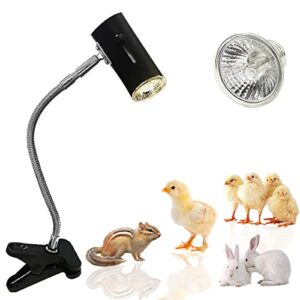 gabraden reptile pet coop heater 50w safer than brooder lamps used for rabbits, chickens, hamsters and other small animals (black)