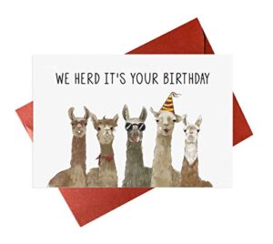 llama birthday card,funny alpaca birthday cards for friends