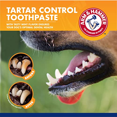 Arm & Hammer for Pets Dog Dental Care Fresh Breath Kit for Dogs | Includes Arm & Hammer Baking Soda Dog Toothpaste and Dog Toothbrush | Dog Plaque Removal Kit