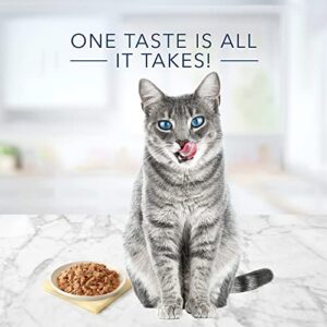 Blue Buffalo Tastefuls Natural Flaked Wet Cat Food, Tuna Entrée in Gravy 3-oz cans (Pack of 24)