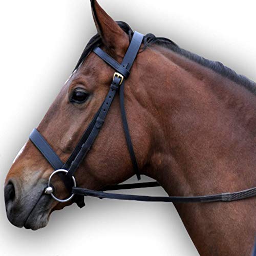 Black Leather Horse Bridle - Plain Hunter Bridle for Horses - COB Size