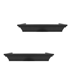 Rienias Floating Shelves Wall Mounted Set of 2,Wall Decor for Bedroom,Living Room,Bathroom (Black)