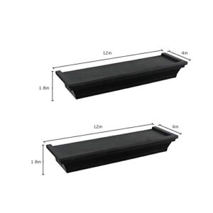 Rienias Floating Shelves Wall Mounted Set of 2,Wall Decor for Bedroom,Living Room,Bathroom (Black)