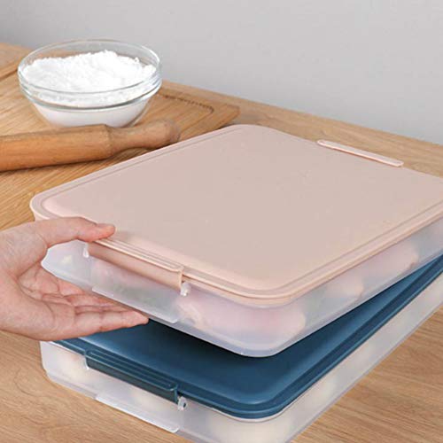 HEMOTON Plastic Food Storage Containers Dumpling Box Food Freezer Box Keep Fruits Vegetables Meat And More Kitche Fridge Freezer (Meat meal)
