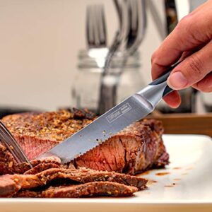 Slitzer Germany Steak Knife Set - 4 Piece Stainless Steel Kitchen Knife Set - Serrated, Sharp and Durable Steak Knives Set for Dinner, Restaurant and Steakhouse Use