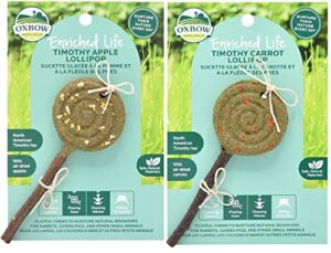 oxbow animal health bundle of 2 enriched life timothy =lollipop small animal chew treats: apple and carrot