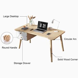 Simple Computer Desk with 2 Drawers,Wooden Study Writing Desk Home,Modern Style Sturdy Pc Laptop Table for Home Office Workstation