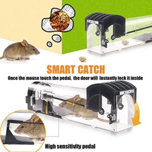 Humane Mouse Traps, 12 inches Enlarged No Kill Rat Trap, Live Traps for Chipmunks, Reusable Catch and Release Mice Traps, Pet and Children Friendly Mouse Trap That Work (2 Pack)