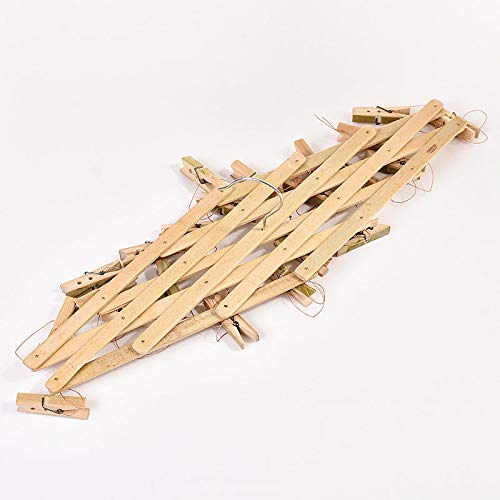 Natural Bamboo Clothespin-Folding Clothespin Laundry Dripping Hanger 16 Clip Bamboo Clothespin Folding Shrinking Clothespin-Underwear, Socks, Hats and Boots Portable Indoor Household