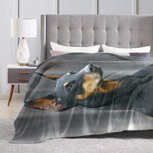 Luxury Throw Blanket All Season Throw Blanket Fashion German Doberman Pinscher Plush Throw Blankets for Living Room, Home, Sofa, Office, Camping 50 x 60 inch