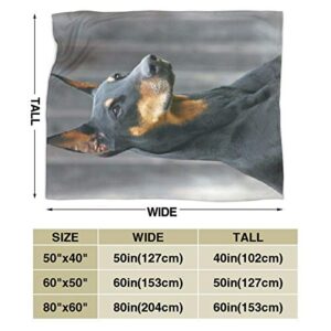 Luxury Throw Blanket All Season Throw Blanket Fashion German Doberman Pinscher Plush Throw Blankets for Living Room, Home, Sofa, Office, Camping 50 x 60 inch