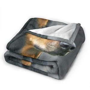 Luxury Throw Blanket All Season Throw Blanket Fashion German Doberman Pinscher Plush Throw Blankets for Living Room, Home, Sofa, Office, Camping 50 x 60 inch