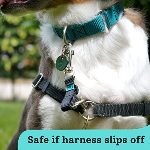 Gentle Creatures Collar Companion - Adjustable Collar Backup Clip for Dog Harness, Prong Collar, Pinch Collar, Gentle Lead - Double Ended Backup Clasp - Harness to Collar Safety Clip