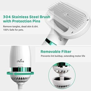iPettie Pet Hair Dryer 2 with Slicker Brush, 3 Heat Settings, One-Button Hair Removal, Portable Dog Blower, Professional Home Grooming Furry Drying for Small Large Cat Dog