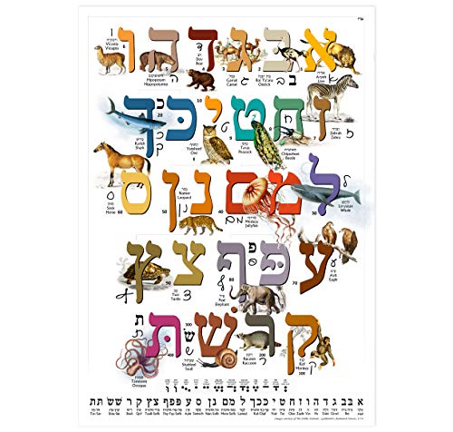 Hebrew Aleph Bet (Alef Bet) Animal Poster/Chart for Children with Print & Cursive Hebrew Alphabet (A3 11.7 x 16.5 in) Perfect for Hebrew Language Learner Beginners