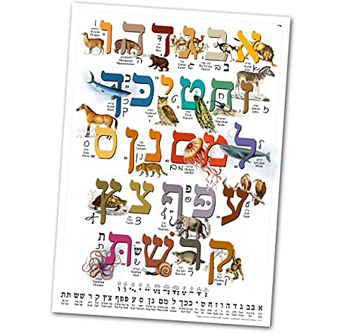 Hebrew Aleph Bet (Alef Bet) Animal Poster/Chart for Children with Print & Cursive Hebrew Alphabet (A3 11.7 x 16.5 in) Perfect for Hebrew Language Learner Beginners