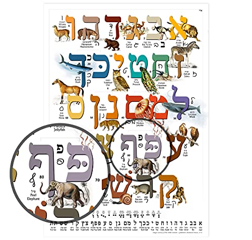 Hebrew Aleph Bet (Alef Bet) Animal Poster/Chart for Children with Print & Cursive Hebrew Alphabet (A3 11.7 x 16.5 in) Perfect for Hebrew Language Learner Beginners