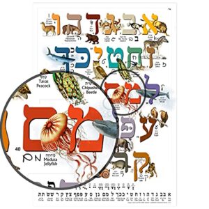 Hebrew Aleph Bet (Alef Bet) Animal Poster/Chart for Children with Print & Cursive Hebrew Alphabet (A3 11.7 x 16.5 in) Perfect for Hebrew Language Learner Beginners