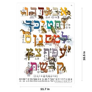 Hebrew Aleph Bet (Alef Bet) Animal Poster/Chart for Children with Print & Cursive Hebrew Alphabet (A3 11.7 x 16.5 in) Perfect for Hebrew Language Learner Beginners